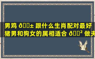 男鸡 🐱 跟什么生肖配对最好（猪男和狗女的属相适合 🌲 做夫妻吗）